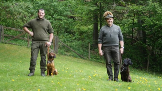 Hundeausbildung 
